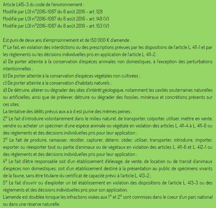 loi tortue terrestre