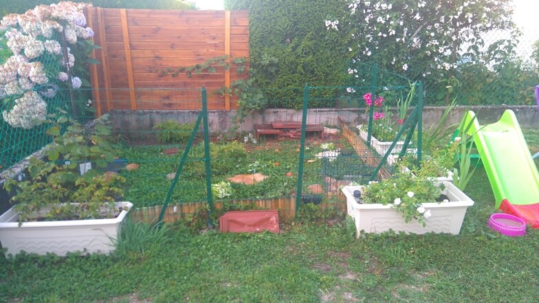 Construire un enclos à tortue de terre