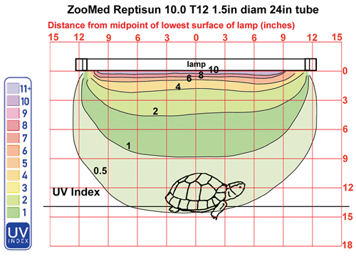 Lampe UV-B pour tortue terrestre