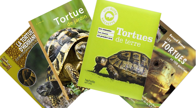 Livres sur les tortues de terre