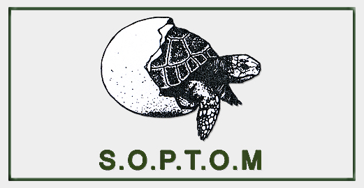 Protection des tortues par l'association de la SOPTOM (du village des tortues Gonfaron)